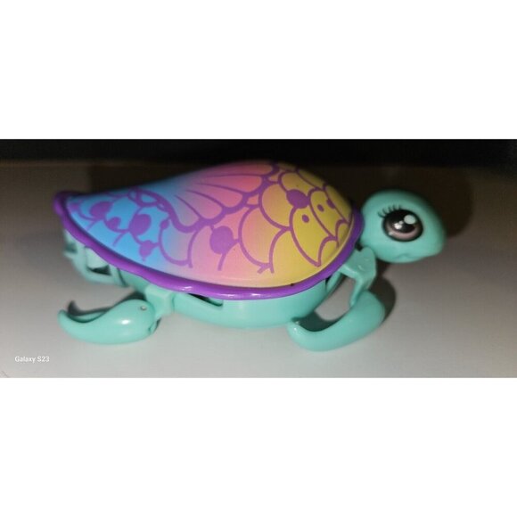 Little Live Pets Shellsea Lil' Turtle I Swim In Water I Walk On Land - Picture 4 of 5